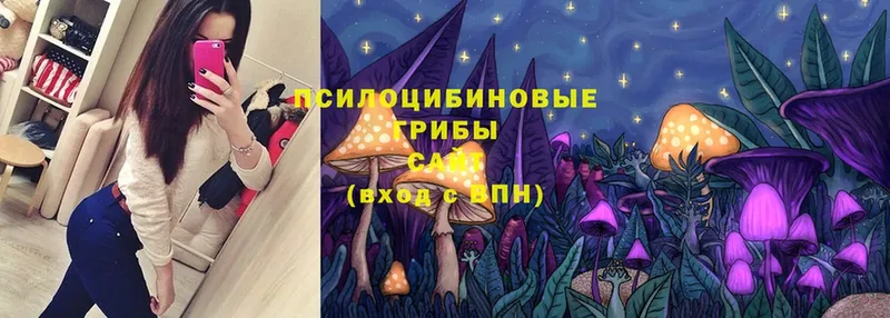 Псилоцибиновые грибы Magic Shrooms  Белозерск 